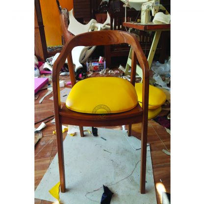 Modern Dining Chairs